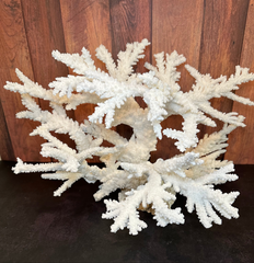 Vintage Branch Coral Creation- 20