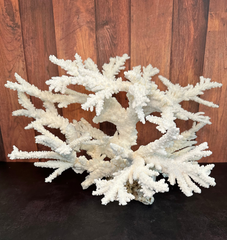 Vintage Branch Coral Creation- 20