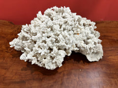 Vintage Merulina Coral, 13 inches long, 9 inches wide, 6 inches tall, off-white natural coral, ideal for coastal home décor.