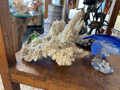 Vintage Branch Coral, 13.5 inches long, 12.5 inches wide, and 6 inches tall, featuring natural embedded fishing line and barnacles