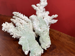 Vintage Branch Coral, 13.5 inches long, 12.5 inches wide, and 6 inches tall, featuring natural embedded fishing line and barnacles