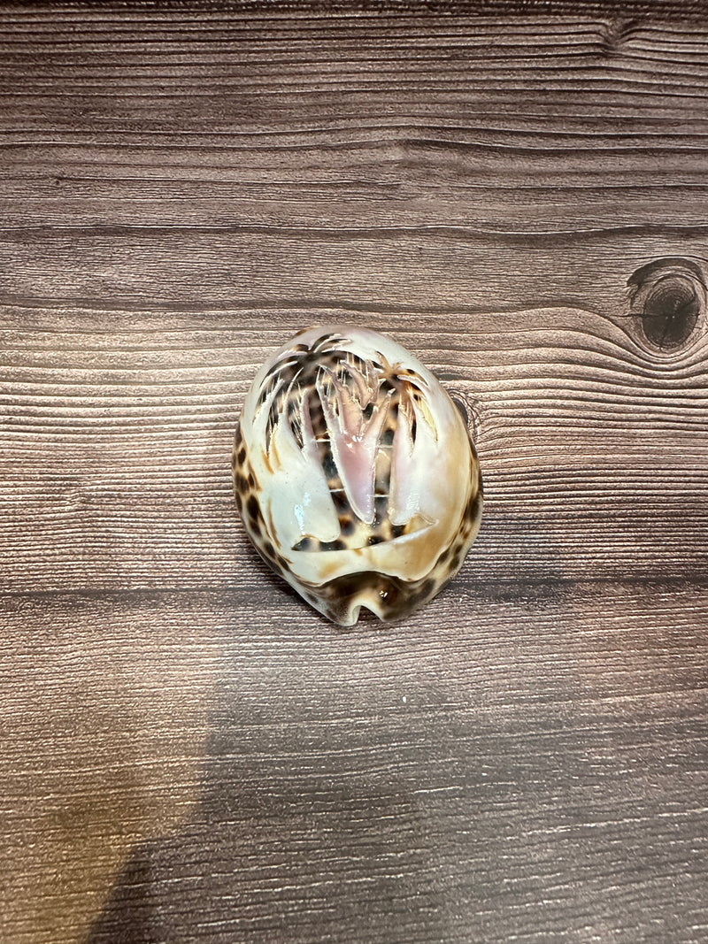 Hand-carved Cowry Shell with palm trees