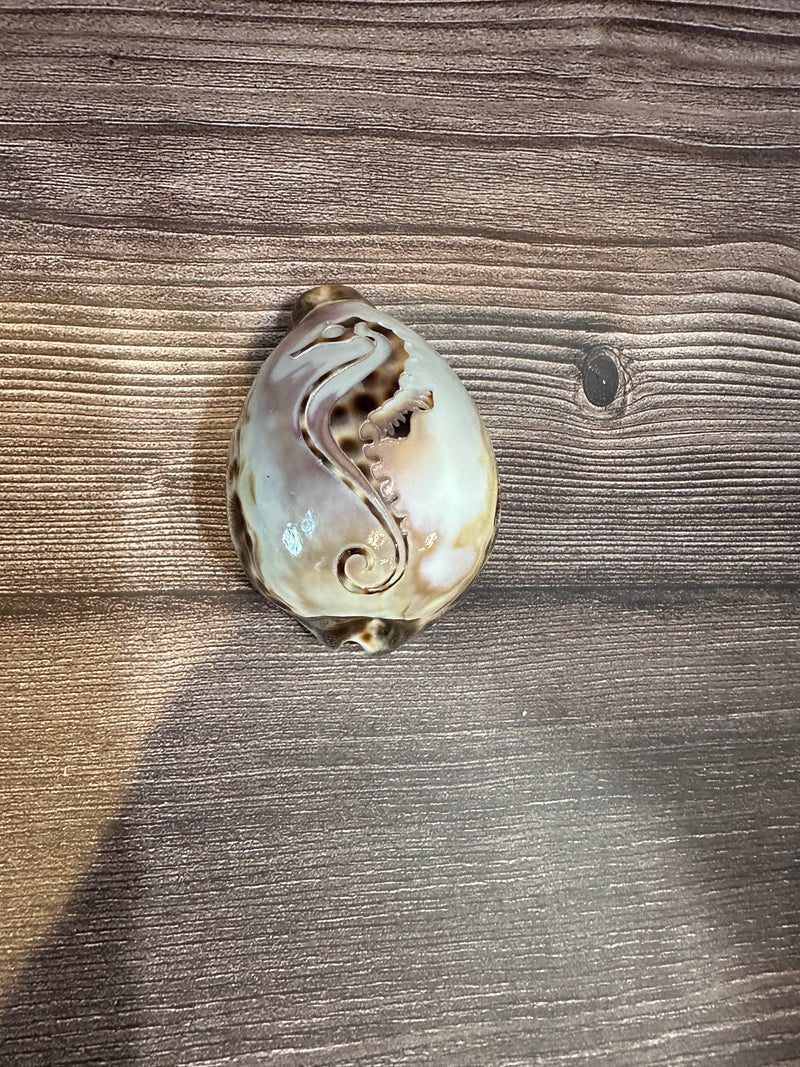 Hand-carved Cowry Shell with seahorse design