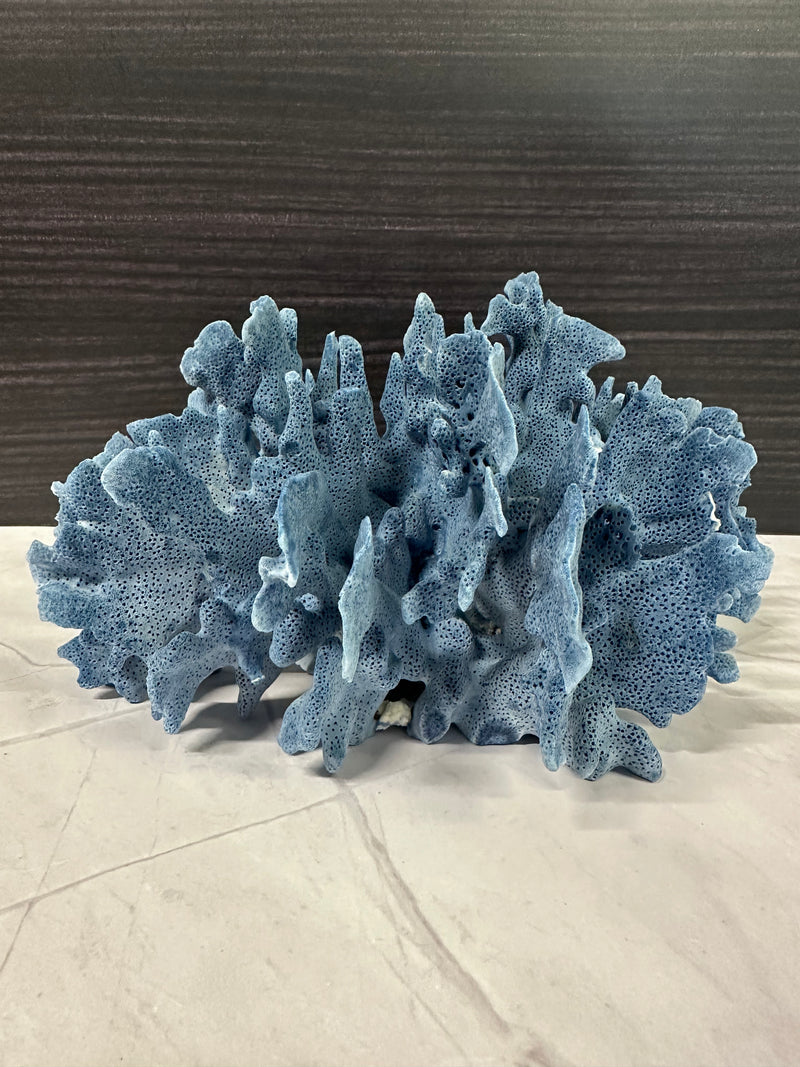 Blue Ridge Coral 11x9x5"