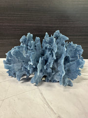 Blue Ridge Coral 11x9x5