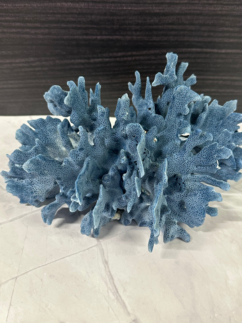 Blue Ridge Coral 11x9x5"