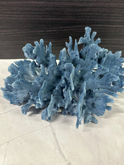 Blue Ridge Coral 11x9x5