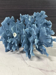 Blue Ridge Coral 11x9x5
