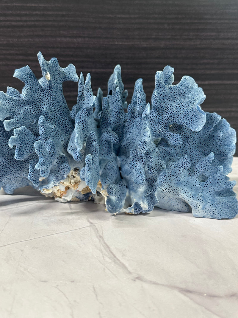 Blue Ridge Coral 11x9x5"