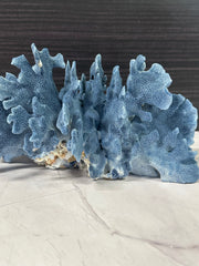 Blue Ridge Coral 11x9x5