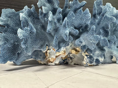 Blue Ridge Coral 11x9x5