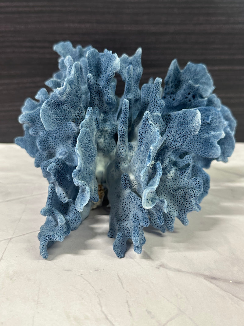 Blue Ridge Coral 11x9x5"