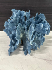 Blue Ridge Coral 11x9x5