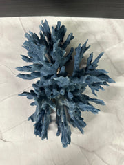 Blue Ridge Coral 11x9x5