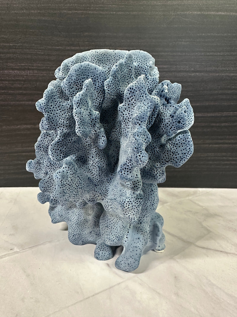 Blue Ridge Coral 5x6x7"