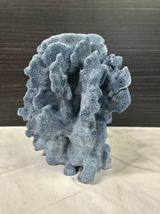 Blue Ridge Coral 5x6x7