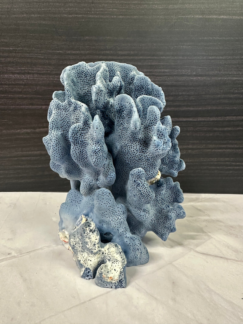 Blue Ridge Coral 5x6x7"