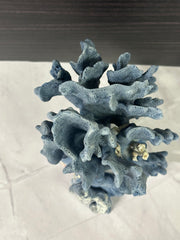 Blue Ridge Coral 5x6x7