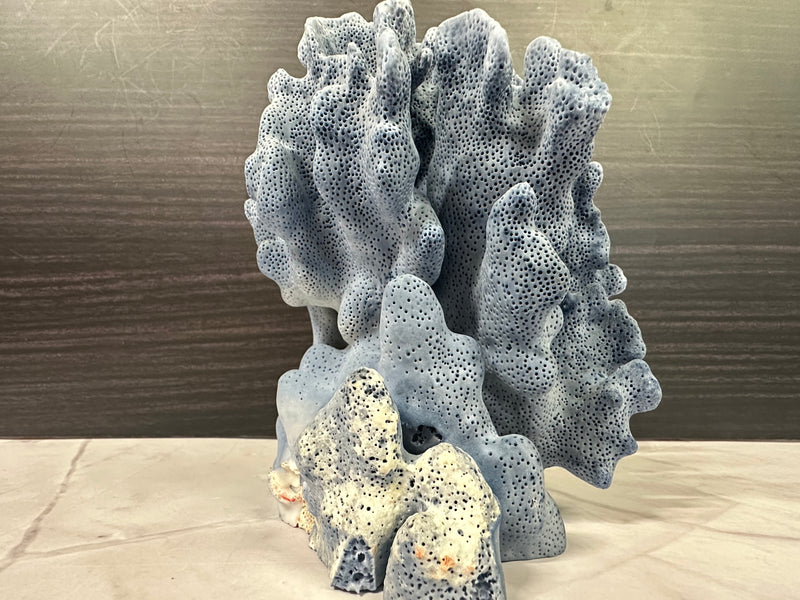 Blue Ridge Coral 5x6x7"