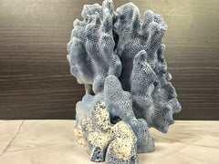 Blue Ridge Coral 5x6x7