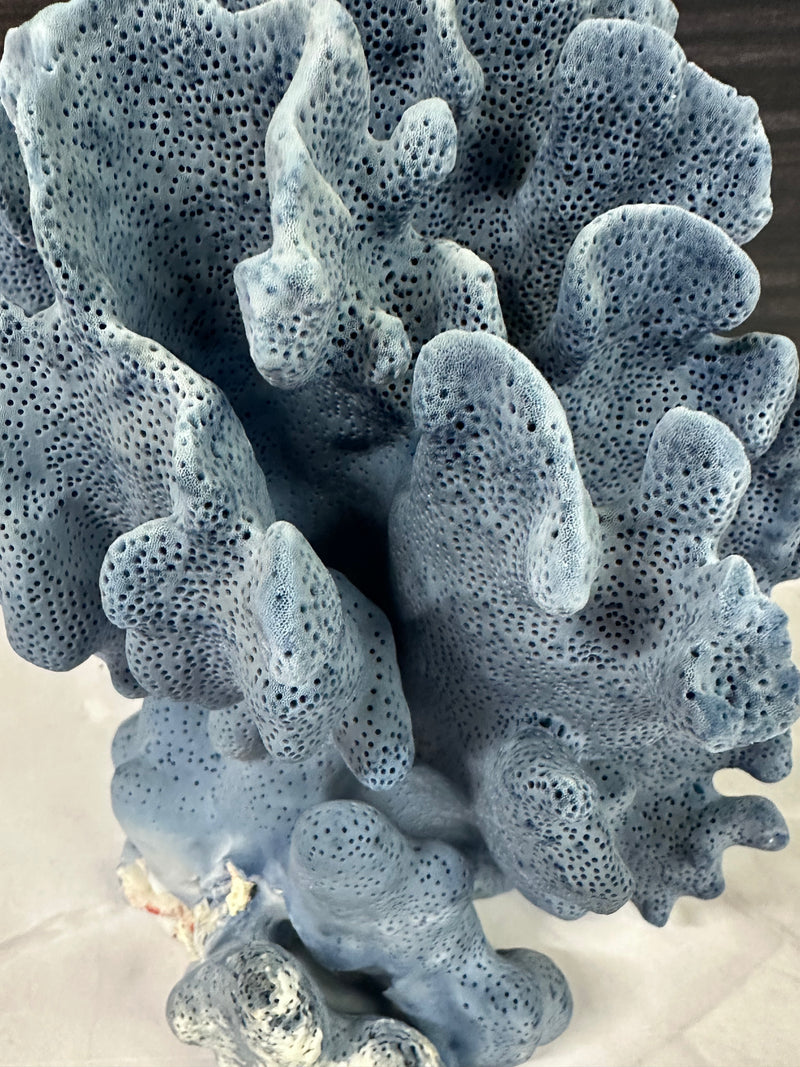 Blue Ridge Coral 5x6x7"
