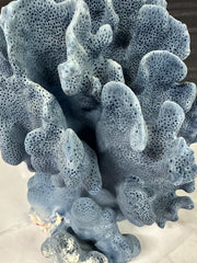 Blue Ridge Coral 5x6x7