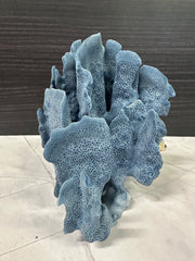 Blue Ridge Coral 7x6x7