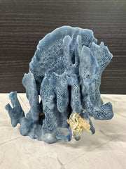 Blue Ridge Coral 7x6x7