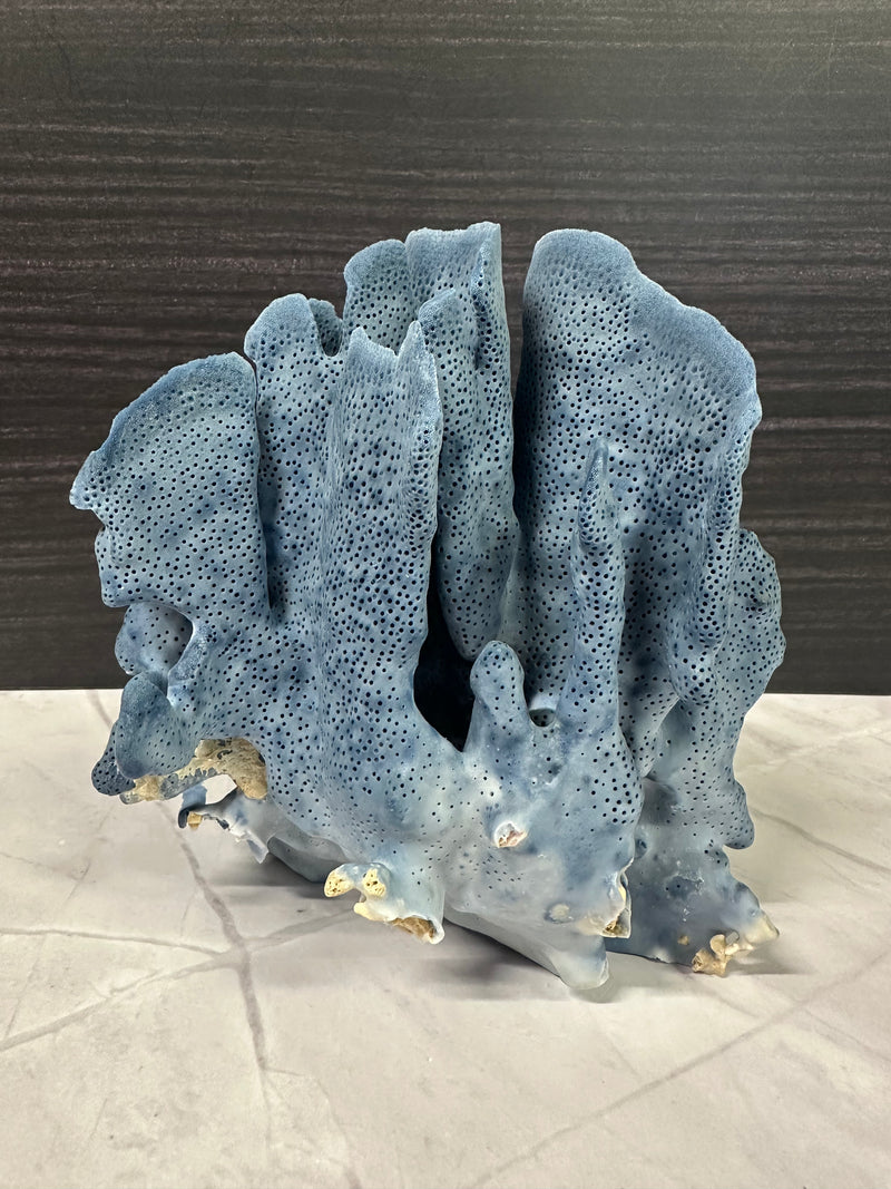 Blue Ridge Coral 7x6x7"