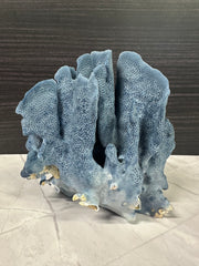 Blue Ridge Coral 7x6x7