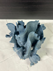 Blue Ridge Coral 7x6x7