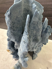 Blue Ridge Coral 7x6x7
