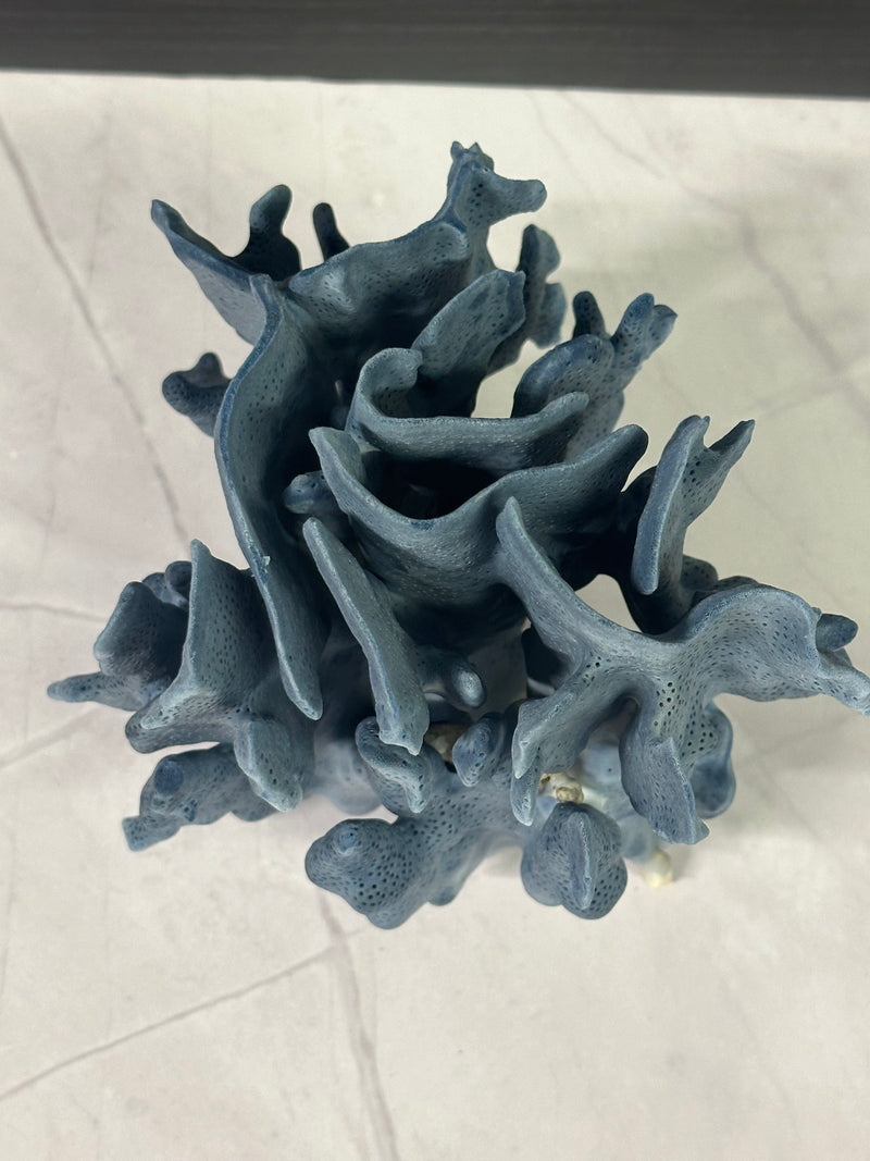 Blue Ridge Coral 7x6x7"