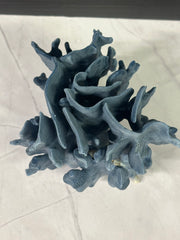 Blue Ridge Coral 7x6x7