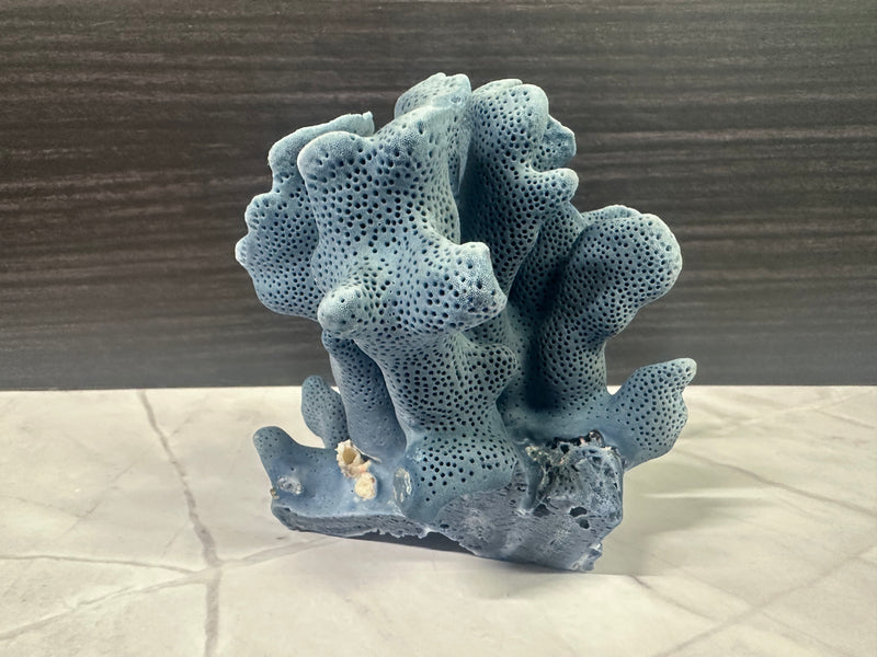 Blue Ridge Coral 6x5x4"