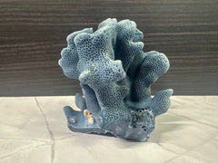Blue Ridge Coral 6x5x4