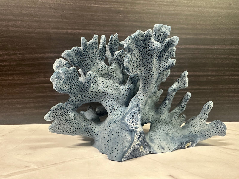 Blue Ridge Coral 6x5x4"
