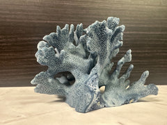 Blue Ridge Coral 6x5x4