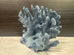 Blue Ridge Coral 6x5x4