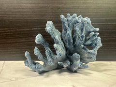 Blue Ridge Coral 6x5x4