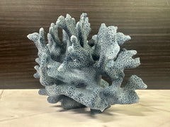 Blue Ridge Coral 6x5x4