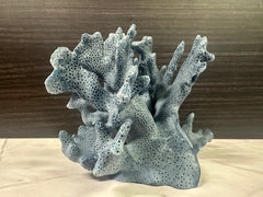 Blue Ridge Coral 6x5x4
