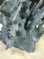 Blue Ridge Coral 6x5x4