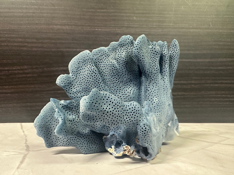 Blue Ridge Coral 6x6x4"