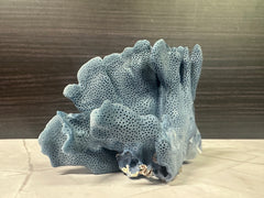 Blue Ridge Coral 6x6x4