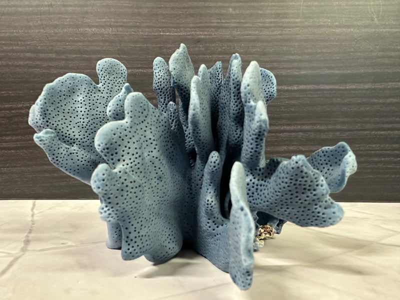 Blue Ridge Coral 6x6x4"