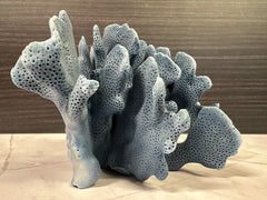 Blue Ridge Coral 6x6x4