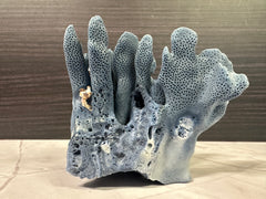 Blue Ridge Coral 6x6x4