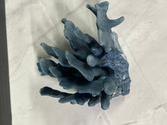 Blue Ridge Coral 6x6x4