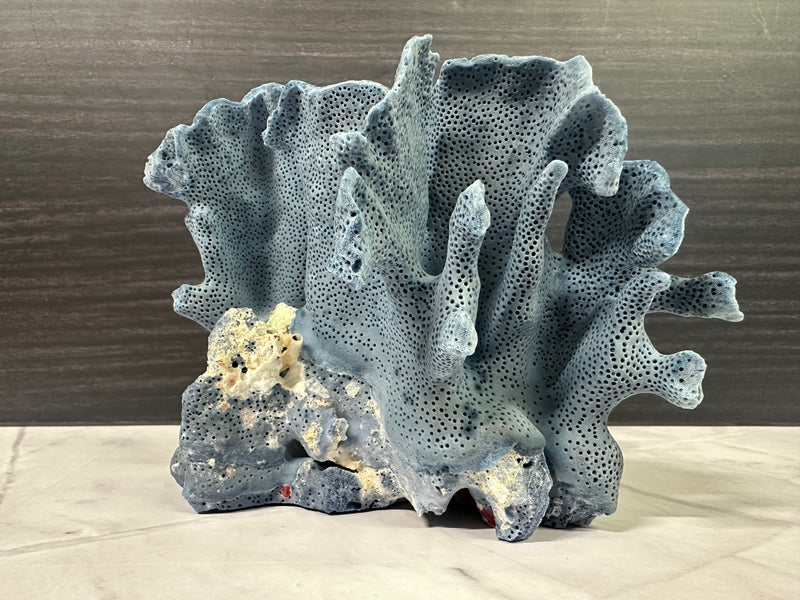 Blue Ridge Coral 6x5x4.5"